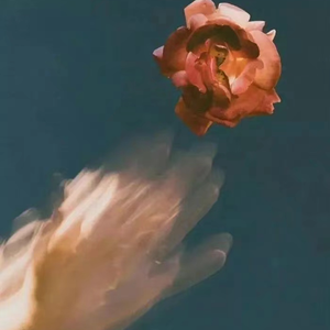 舒琪做爰全过程
